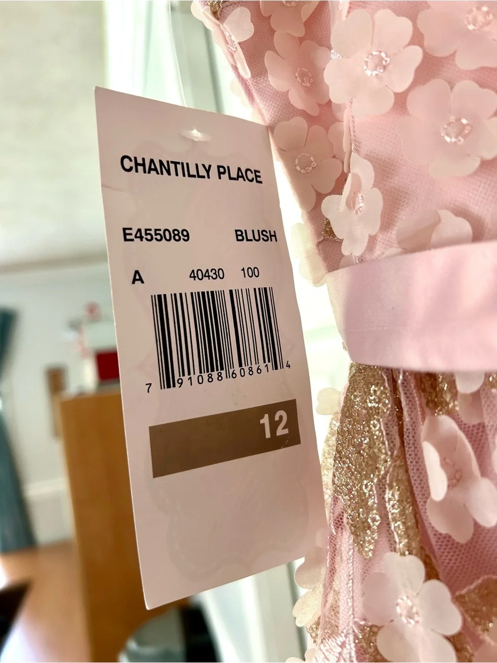 New Chantilly place girls dress size 12 weddings/party/pageants